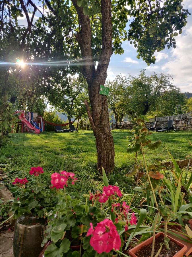Villa Старата Къща - Трявна Esterno foto