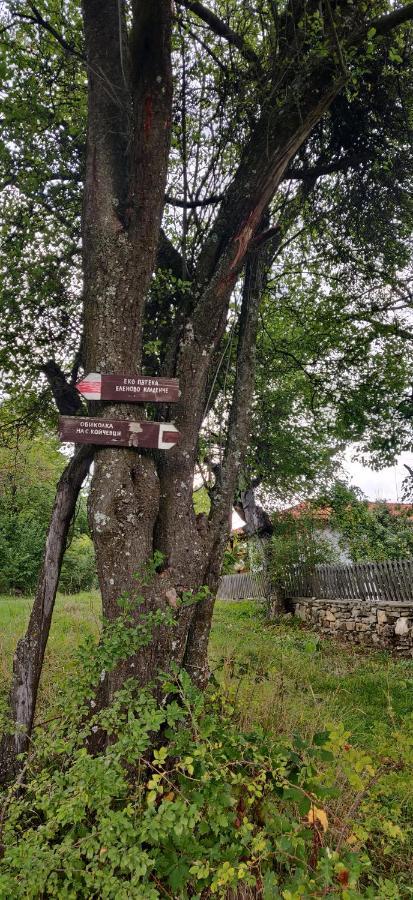 Villa Старата Къща - Трявна Esterno foto