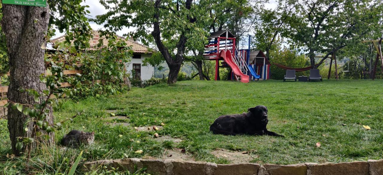 Villa Старата Къща - Трявна Esterno foto